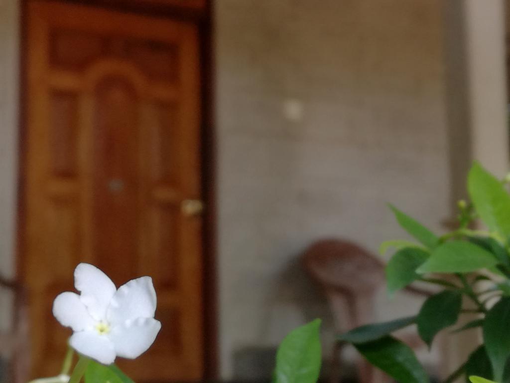 Gabaa Resort & Spa - Habarana Exterior foto